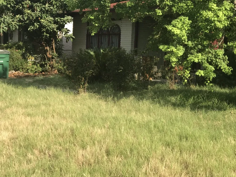 Affordable landscaping services for year-round maintenance in Schertz, TX by AK&H First Response Lawn Care and More