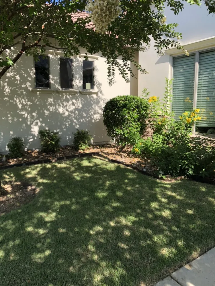 Expert landscape installation for year-round maintenance in Schertz, TX by AK&H First Response Lawn Care and More