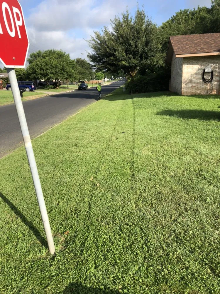 Top-rated yard cleanup service for year-round maintenance across Schertz, TX - AK&H First Response Lawn Care and More