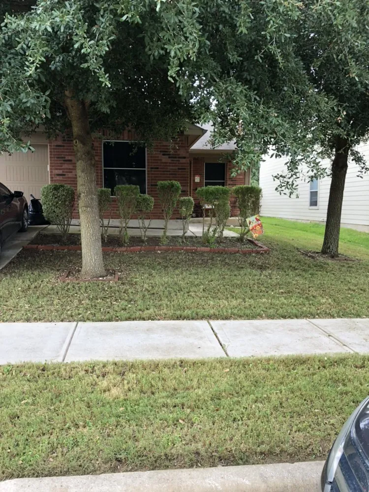 Professional outdoor landscaping for residential properties in Schertz, TX by AK&H First Response Lawn Care and More