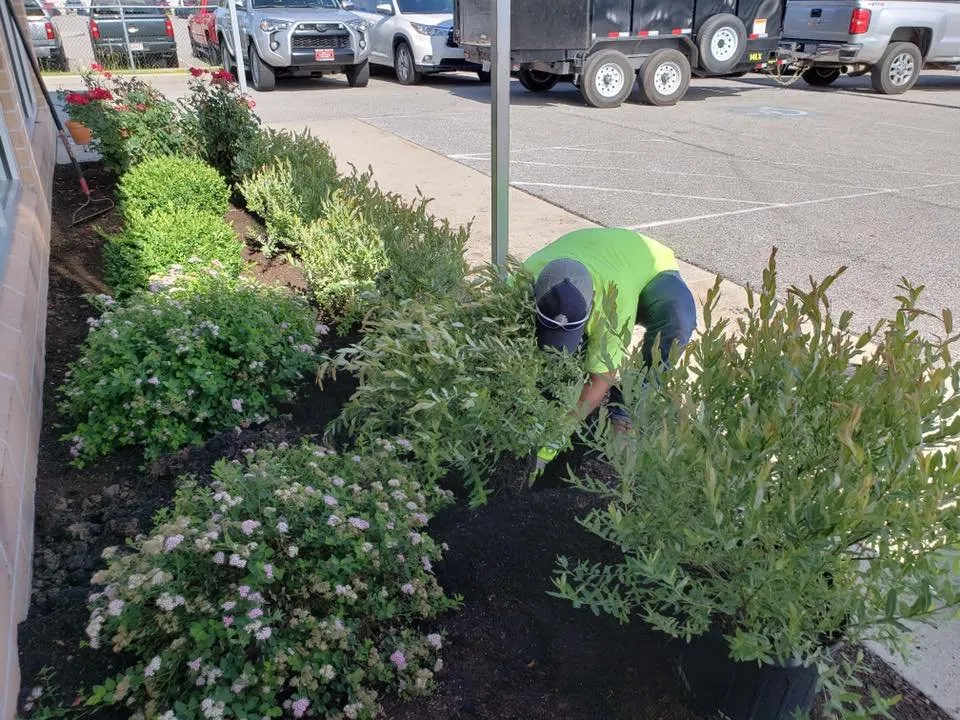 Affordable lawn care service near you in Cuyahoga Falls, OH by Akiki Lawn Care