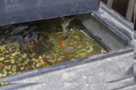 Local landscape design for homes across Daly City, CA - Akira Landscaping