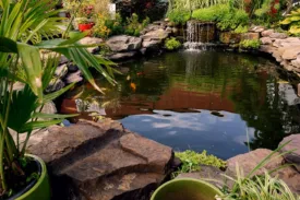 Reliable outdoor landscaping in Daly City, CA by Akira Landscaping