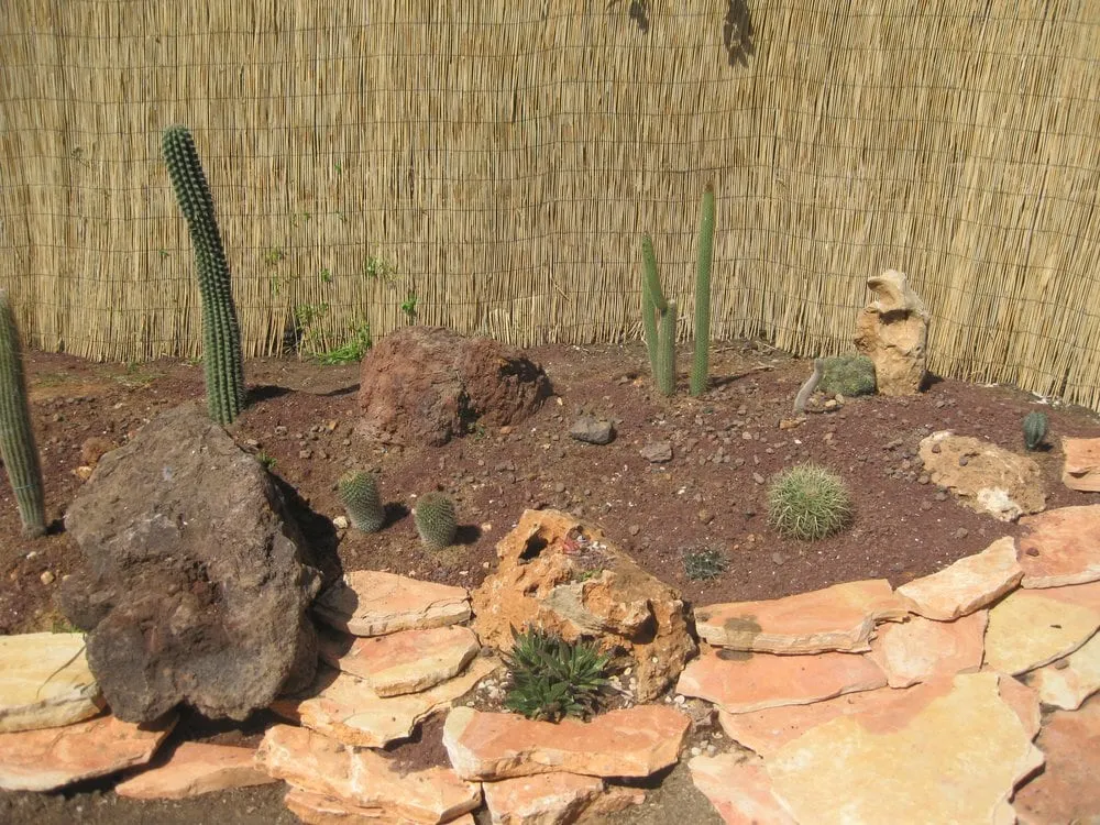 Top-rated outdoor landscaping for homes in Los Angeles, CA by Akira Mizunani