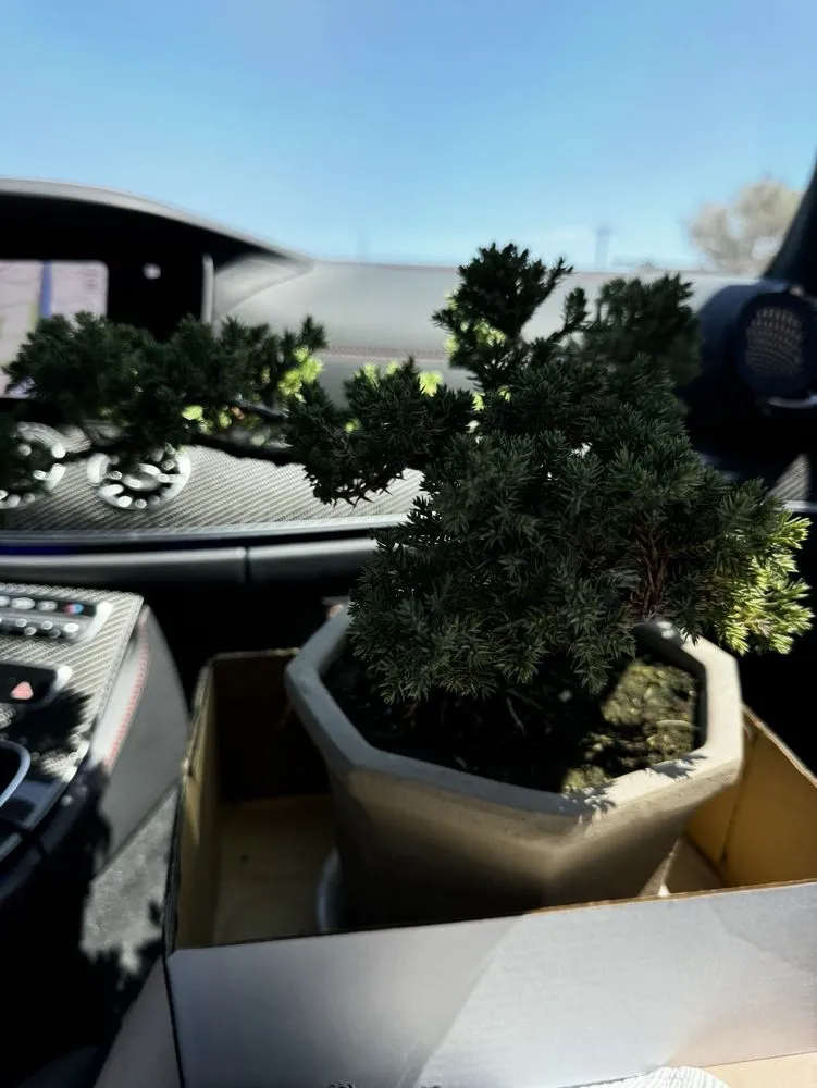 Expert landscape design experts serving Huntington Beach, CA - Akita Bonsai Nursery