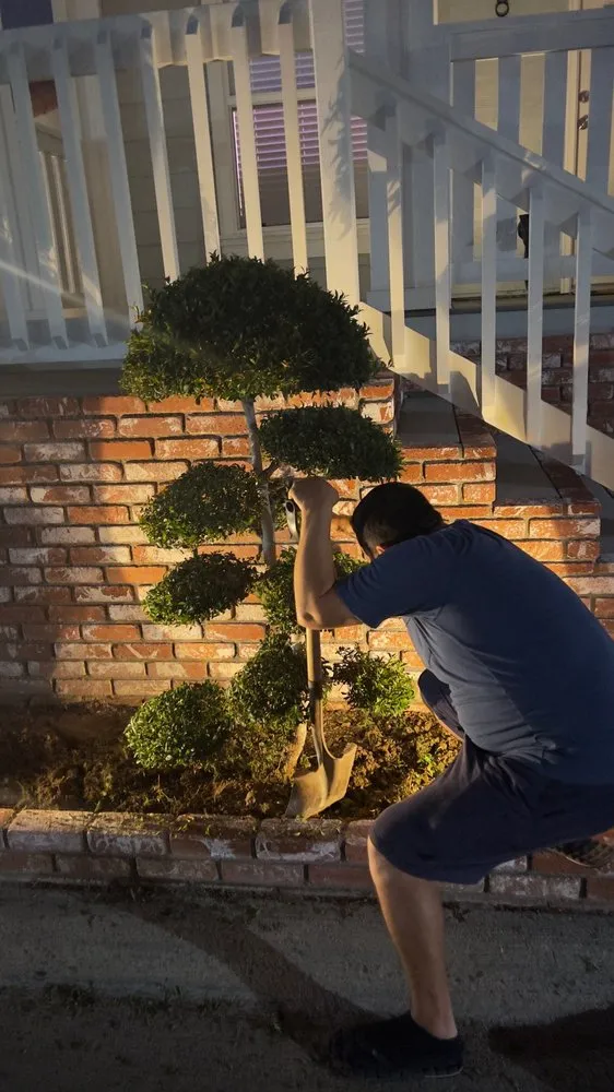 Expert lawn mowing service with custom design in Huntington Beach, CA by Akita Bonsai Nursery