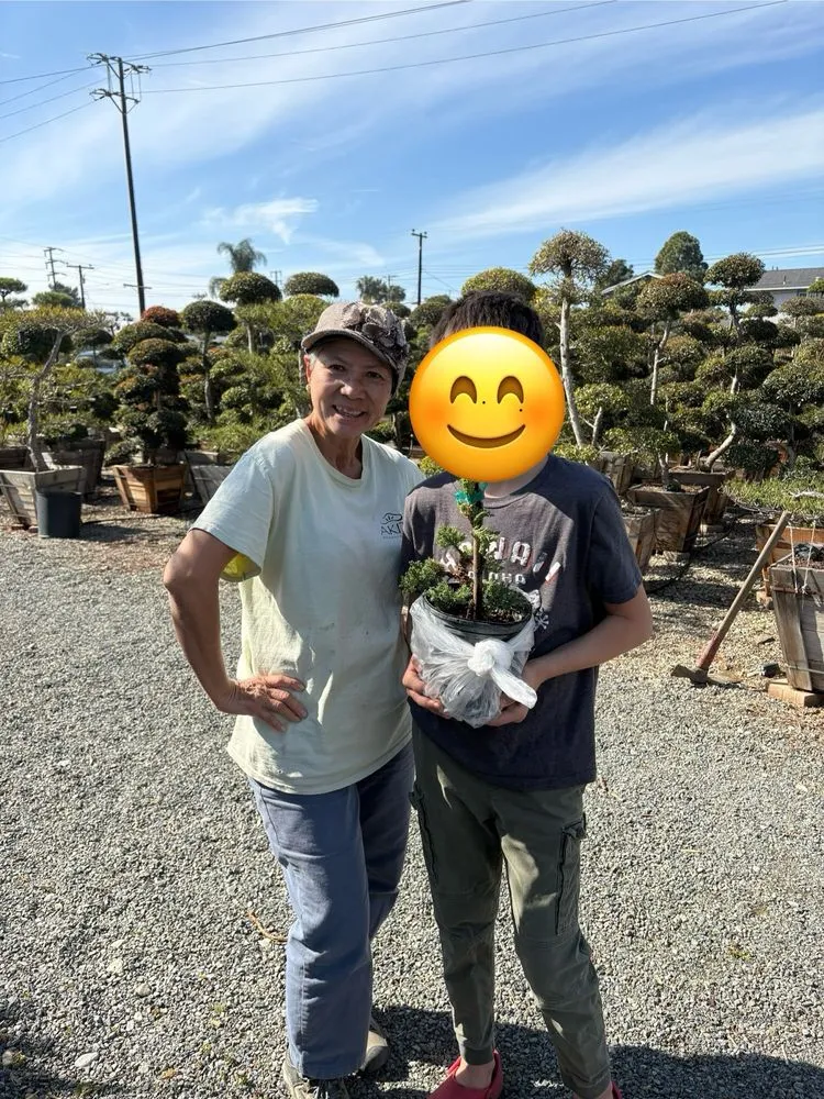 Affordable residential landscaping with custom design in Huntington Beach, CA by Akita Bonsai Nursery