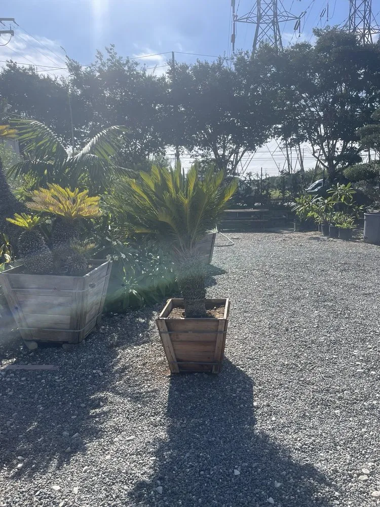 Trusted landscaping services experts serving Huntington Beach, CA - Akita Bonsai Nursery