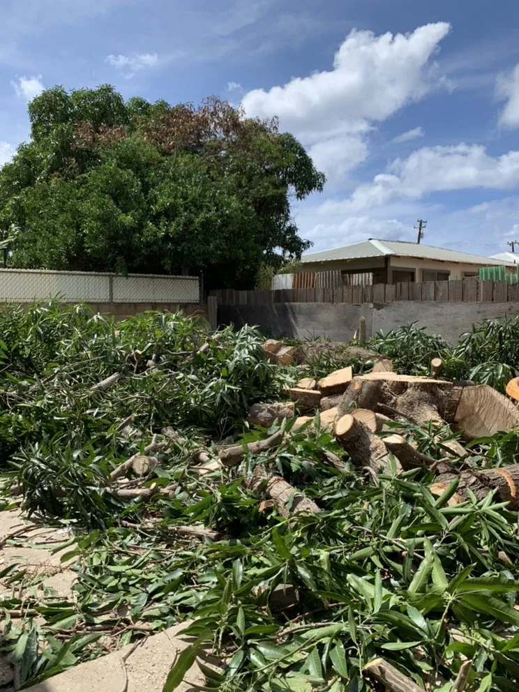 Top-rated landscaping services experts serving Pearl City, HI - AKJ Services