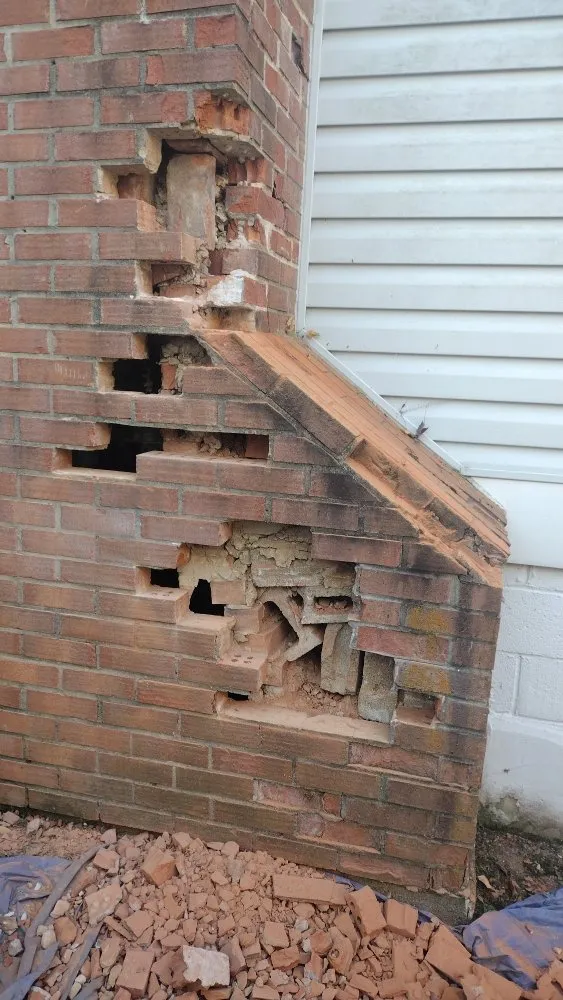 Reliable yard cleanup service for homes in Beltsville, MD by AKM Construction