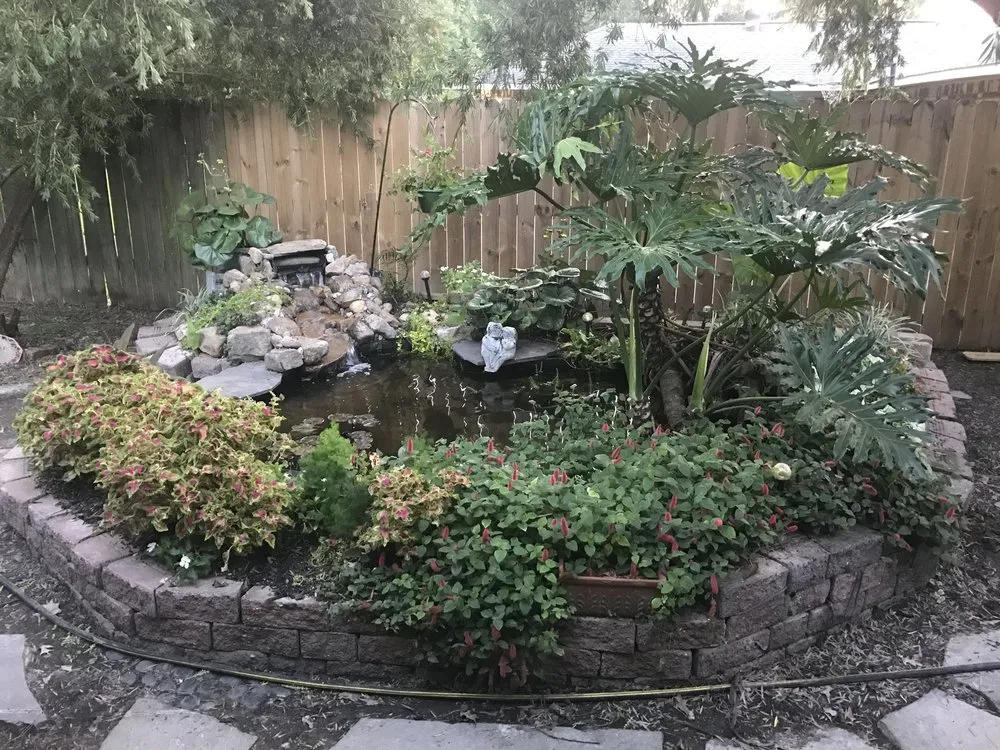 Professional yard cleanup service near you in Port Allen, LA by AKR Waterscapes