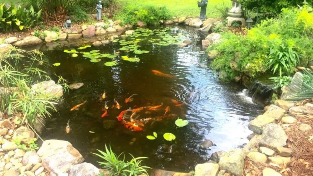 Custom lawn mowing service in Port Allen, LA - AKR Waterscapes