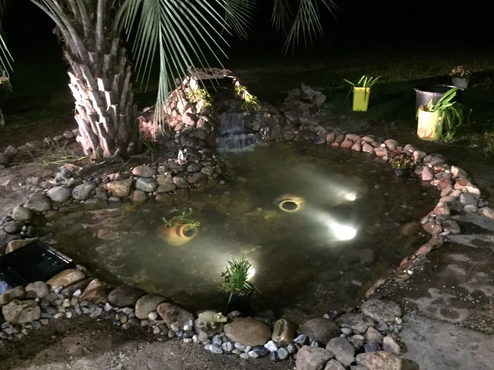 Expert yard maintenance for beautiful yards across Port Allen, LA - AKR Waterscapes