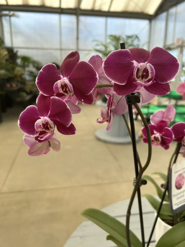 Local outdoor landscaping in Akron, OH - Akron's Finest Mulch Nursery