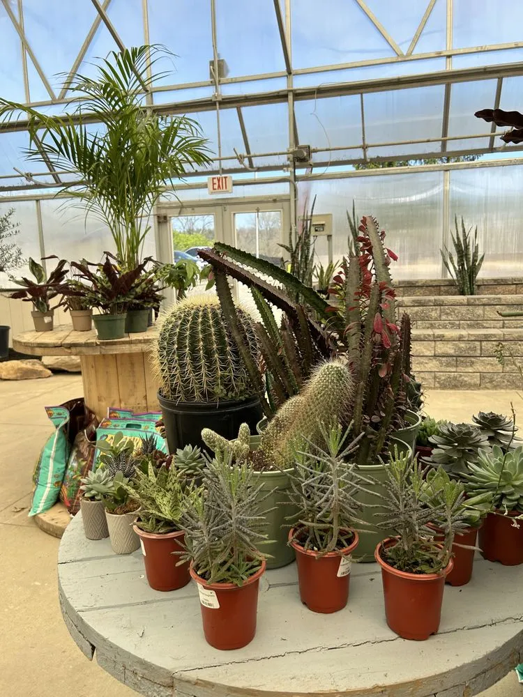 Trusted outdoor landscaping in Akron, OH by Akron's Finest Mulch Nursery