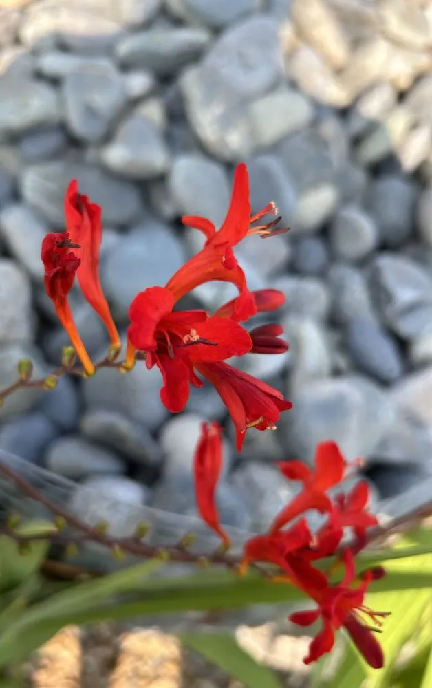 Top-rated outdoor landscaping with custom design in Akron, OH by Akron's Finest Mulch Nursery