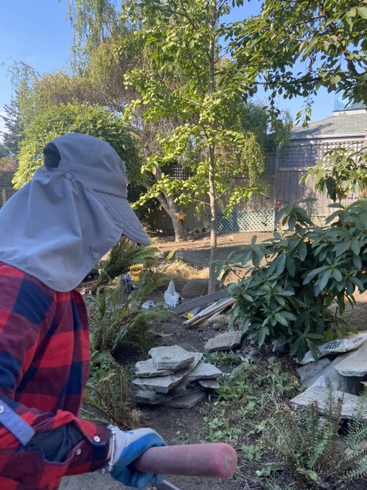 Professional lawn care service in Seattle, WA by AKT Landscaping