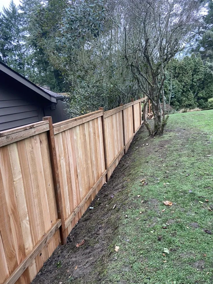 Affordable landscape design in Seattle, WA - AKT Landscaping