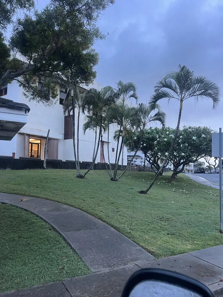 Trusted landscaping services in Kapolei, HI - Akua's Blessings