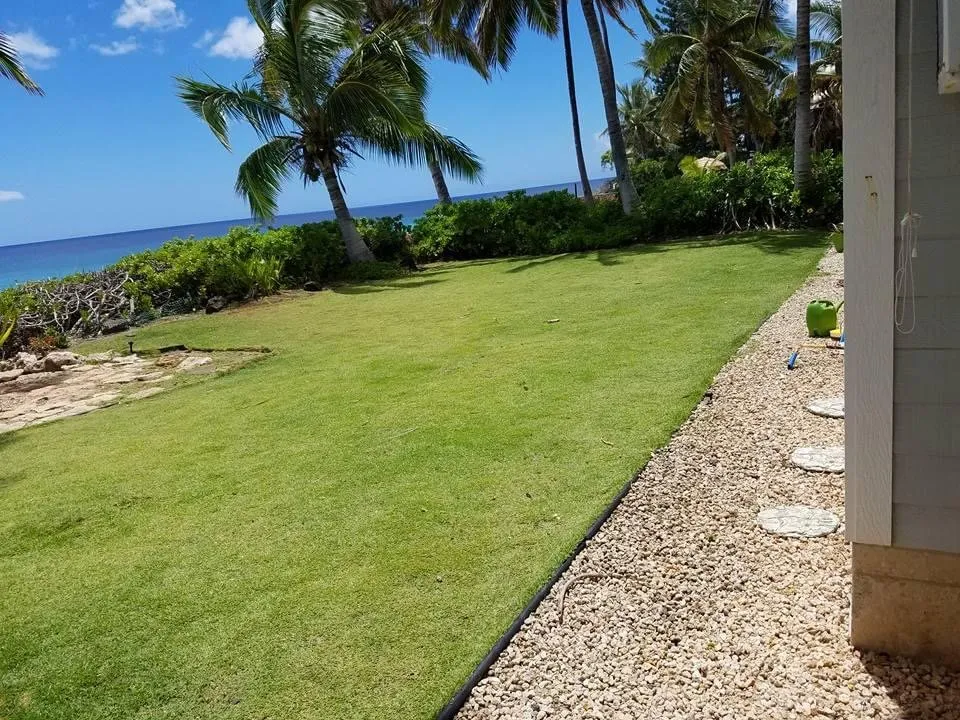 Professional lawn care service for year-round maintenance in Kapolei, HI by Akua's Blessings