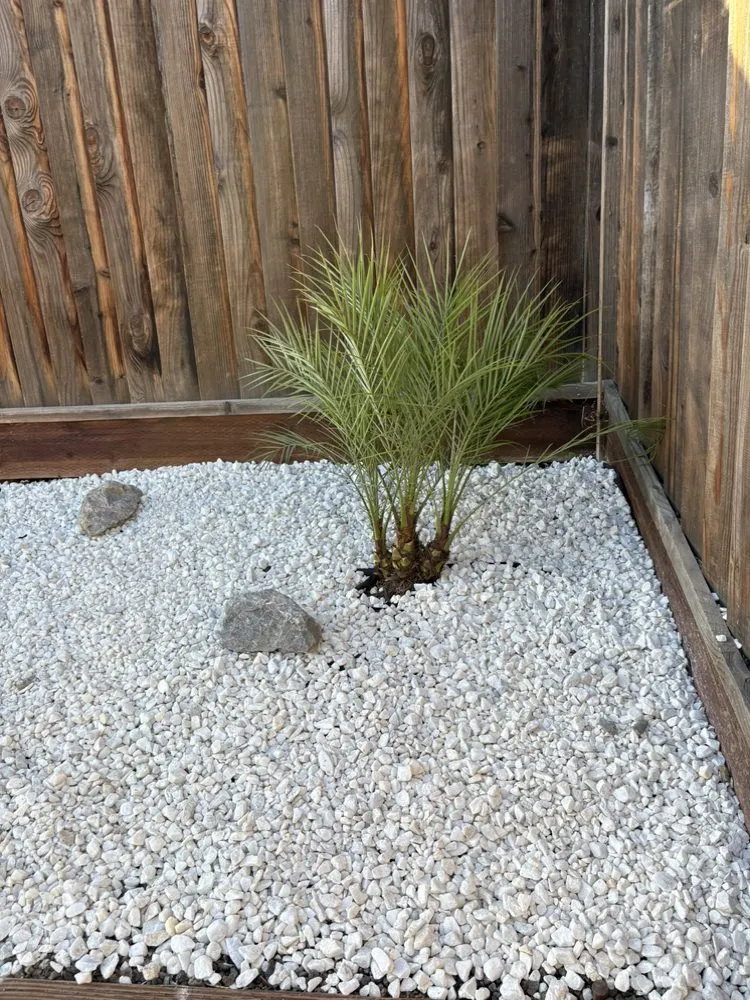 Custom yard cleanup service for homes across Greenfield, CA - AL & C Landscape