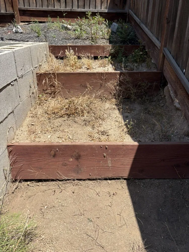 Affordable lawn mowing service near you in Greenfield, CA by AL & C Landscape