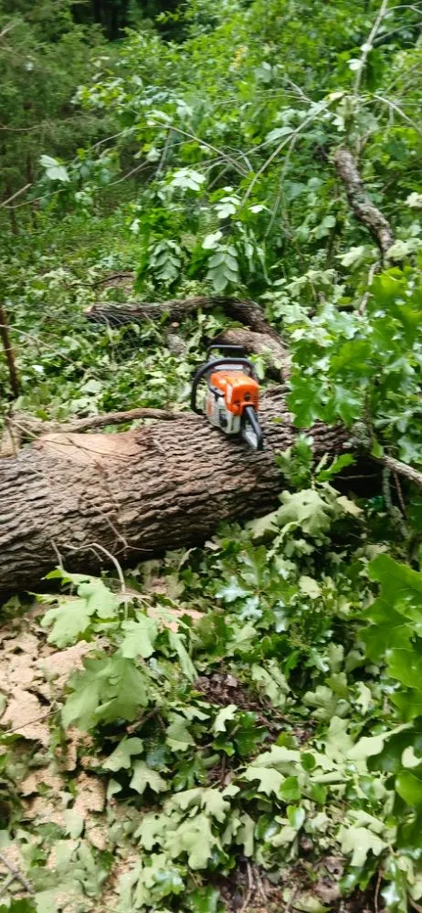 Trusted lawn care service experts serving Bonne Terre, MO - Al & Heffers