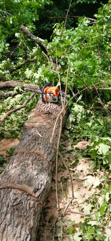 Trusted landscaping services in Bonne Terre, MO - Al & Heffers