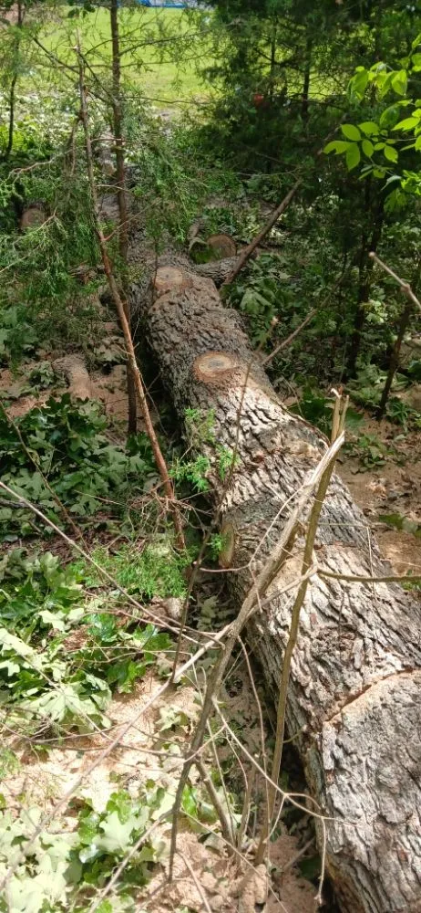 Reliable lawn care service for outdoor upgrades across Bonne Terre, MO - Al & Heffers