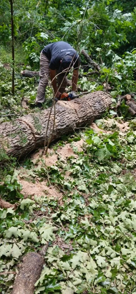 Expert residential landscaping in Bonne Terre, MO by Al & Heffers