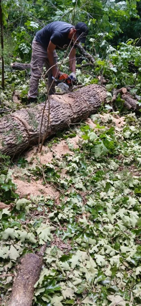 Local lawn care service in Bonne Terre, MO by Al & Heffers