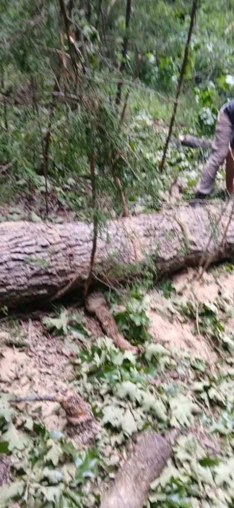 Affordable yard maintenance near you across Bonne Terre, MO - Al & Heffers