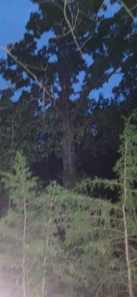 Expert landscape design for year-round maintenance across Bonne Terre, MO - Al & Heffers