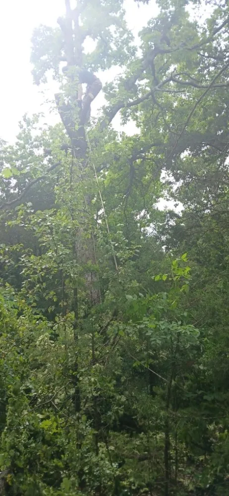 Trusted yard maintenance in Bonne Terre, MO by Al & Heffers