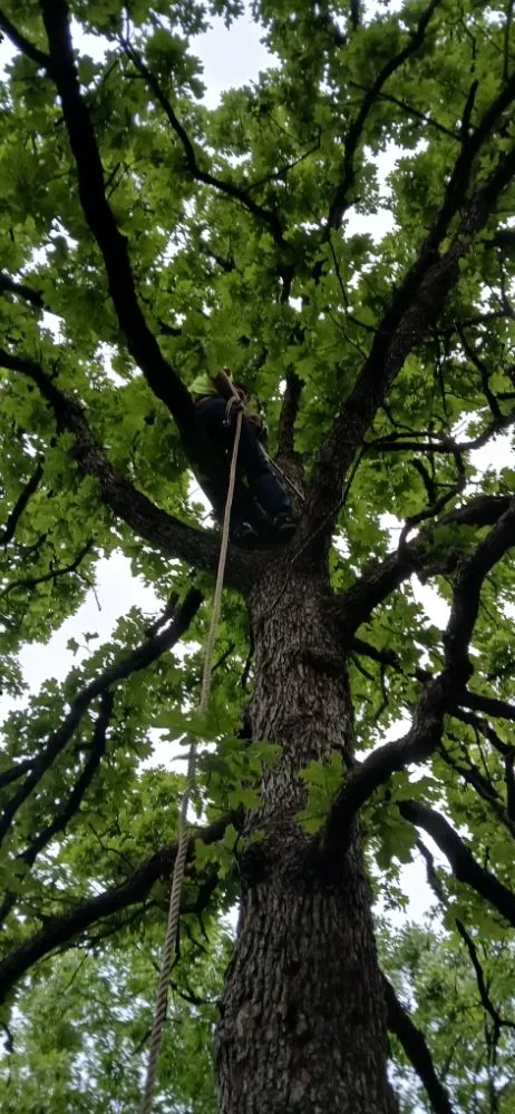 Expert lawn care service for year-round maintenance in Bonne Terre, MO by Al & Heffers