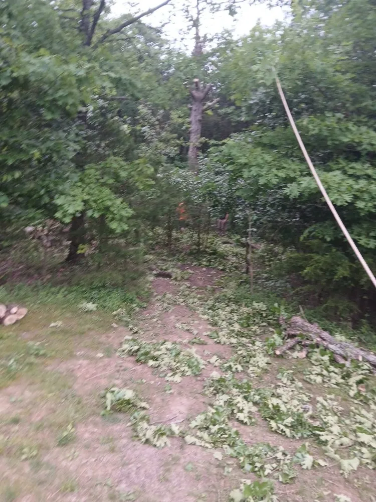 Affordable landscape installation experts serving Bonne Terre, MO - Al & Heffers