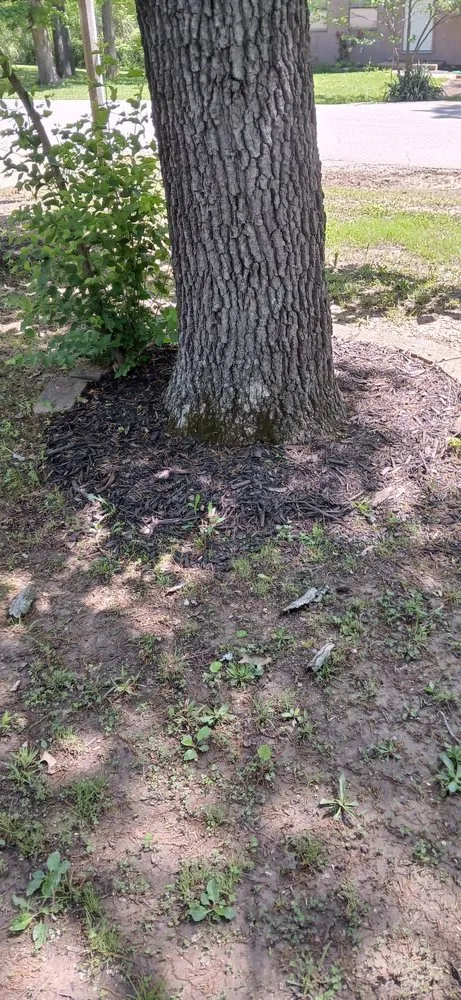 Affordable garden landscaping in Bonne Terre, MO - Al & Heffers