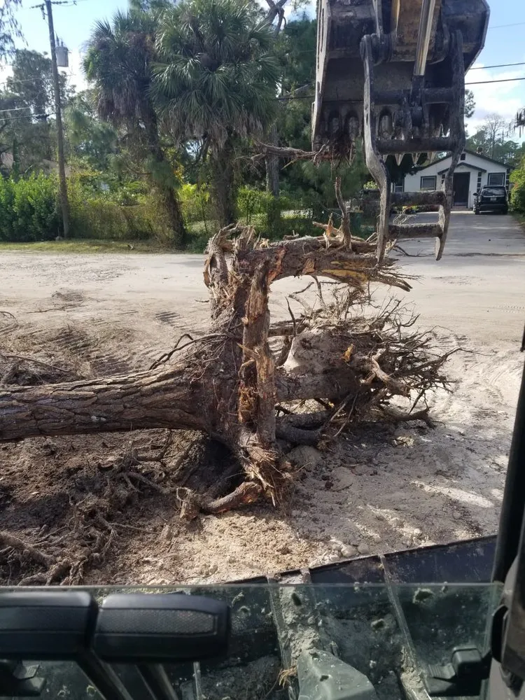 Local lawn care service with custom design across Cape Coral, FL - AL & Son's General Services & Activities