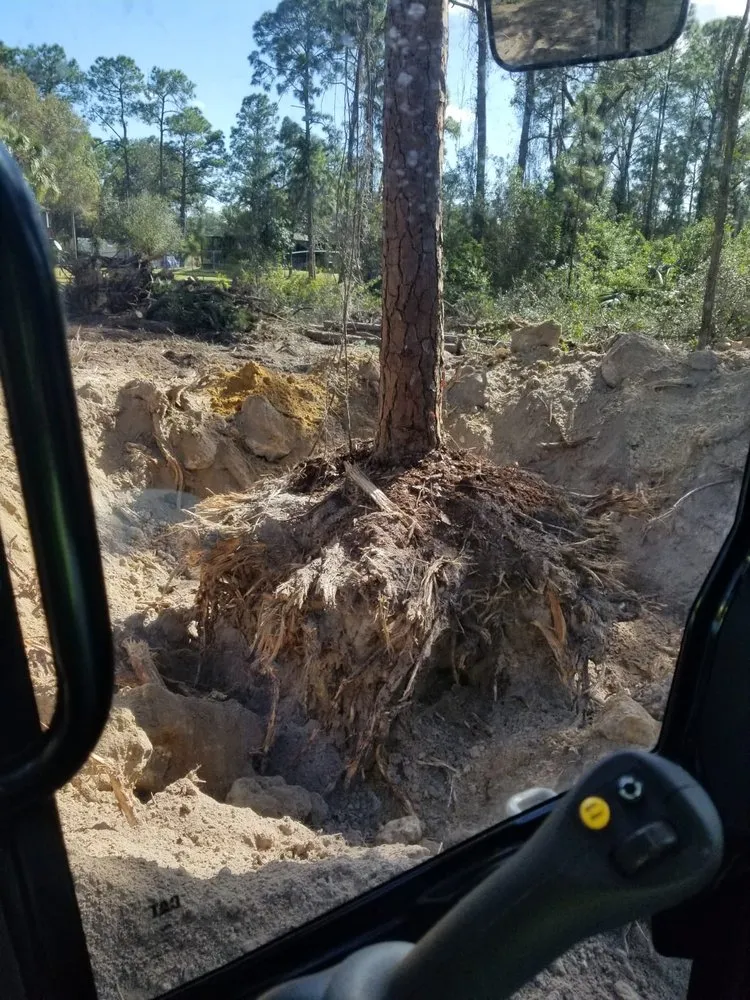 Top-rated lawn care service for homes in Cape Coral, FL by AL & Son's General Services & Activities