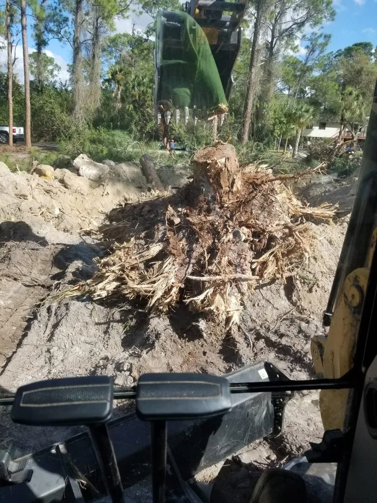 Trusted landscape design with custom design across Cape Coral, FL - AL & Son's General Services & Activities