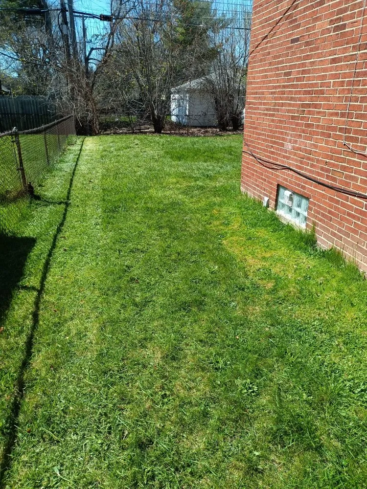 Local lawn care service for homes in Detroit, MI by AL & Son's Landscaping & Snow Removal