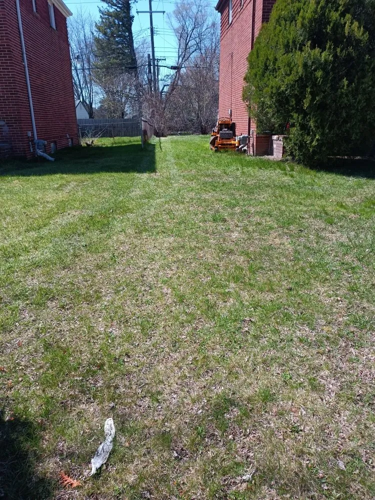 Reliable lawn care service in Detroit, MI by AL & Son's Landscaping & Snow Removal