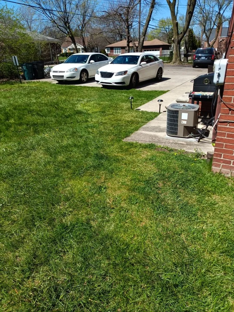 Affordable lawn mowing service in Detroit, MI - AL & Son's Landscaping & Snow Removal