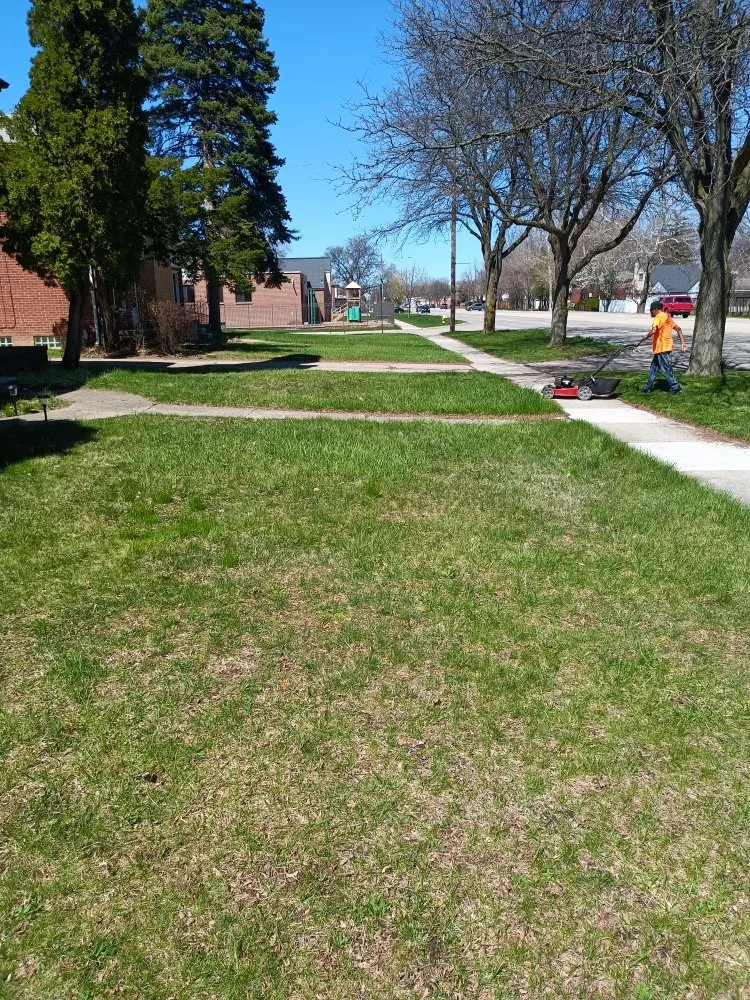Reliable landscape installation in Detroit, MI by AL & Son's Landscaping & Snow Removal