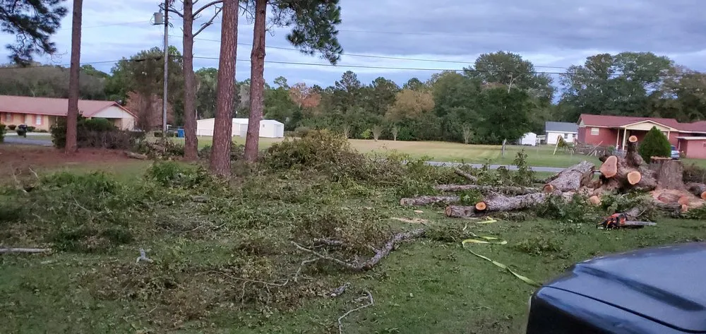 Top-rated lawn mowing service for beautiful yards across Odum, GA - Al-baqarah