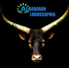 Reliable garden landscaping experts serving Odum, GA - Al-baqarah