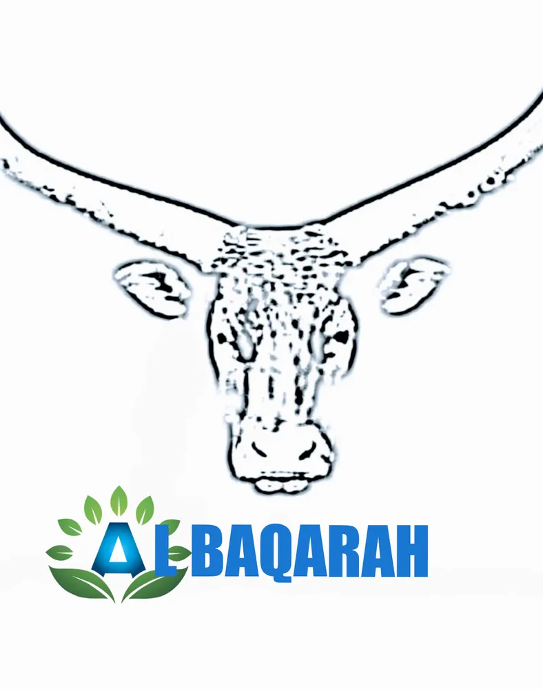 Local landscape design in Odum, GA by Al-baqarah