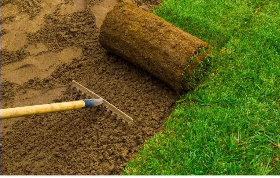 Professional residential landscaping for outdoor upgrades in Odum, GA by Al-baqarah