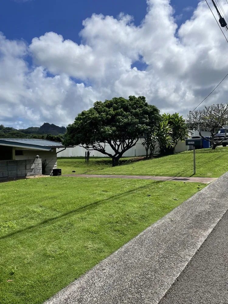 Local landscape design experts serving Honolulu, HI - AL Best Tree Services