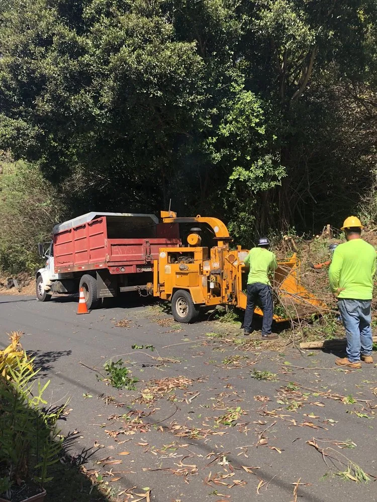 Trusted residential landscaping experts serving Honolulu, HI - AL Best Tree Services